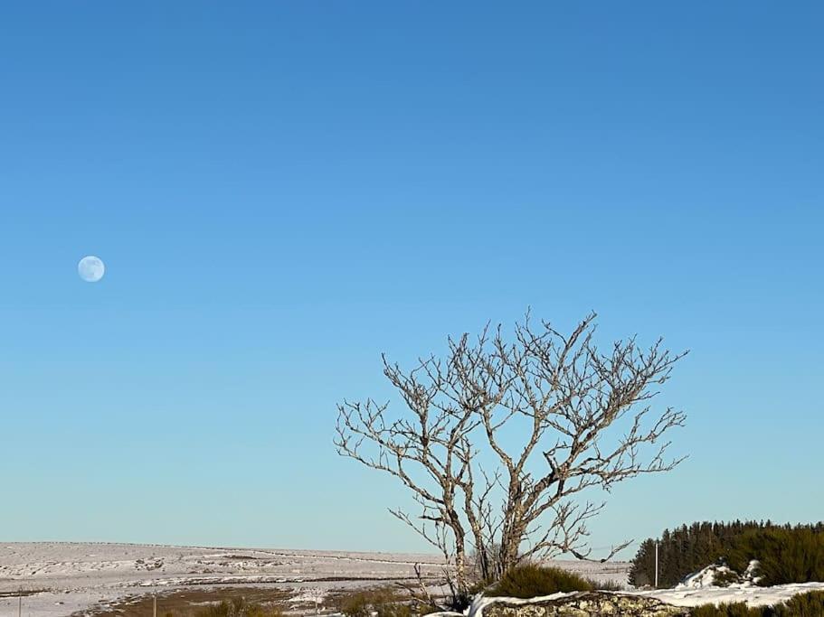 Villa Buron Coeur D'Aubrac Marchastel  Esterno foto