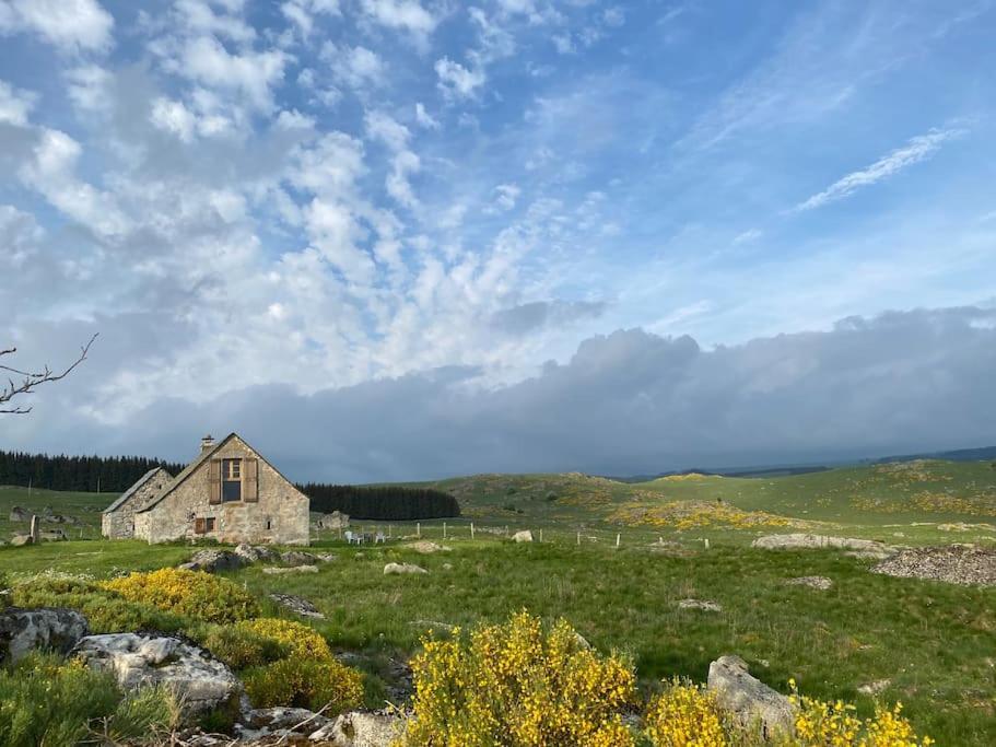 Villa Buron Coeur D'Aubrac Marchastel  Esterno foto