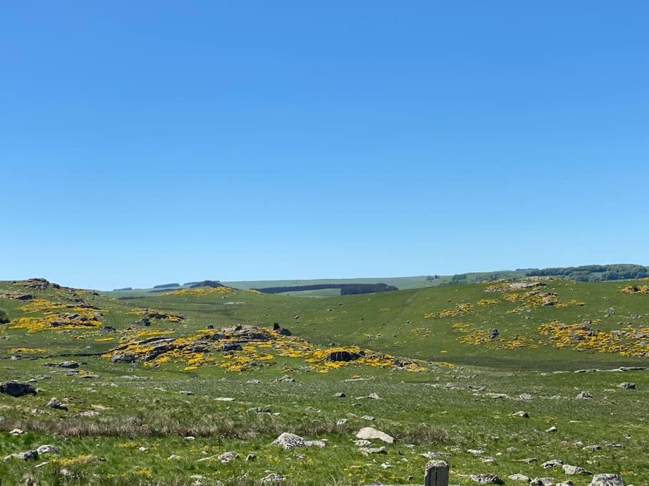 Villa Buron Coeur D'Aubrac Marchastel  Esterno foto