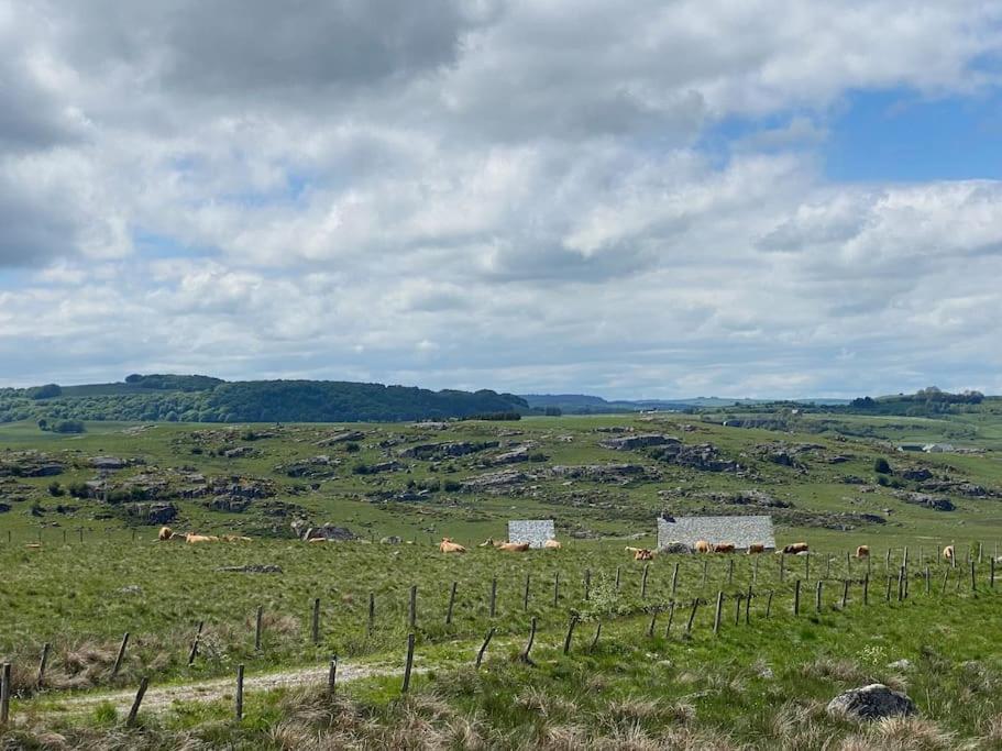 Villa Buron Coeur D'Aubrac Marchastel  Esterno foto
